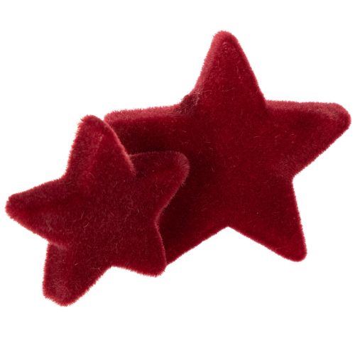 Weihnachtsdeko Sterne Bordeaux Beflockt Tischdeko 4–5cm 40 St | Floristik24.de