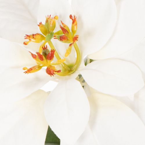 Kunstblume Weihnachtsstern weiß Große Blüte Dekopflanze 40cm | Floristik24.de