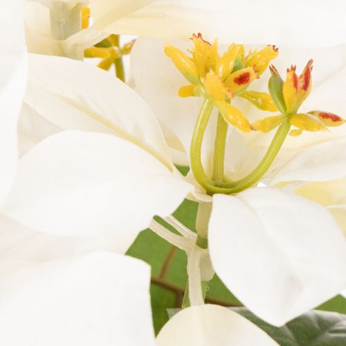 Kunstblume Weihnachtsstern weiß Große Blüte Dekopflanze 40cm | Floristik24.de