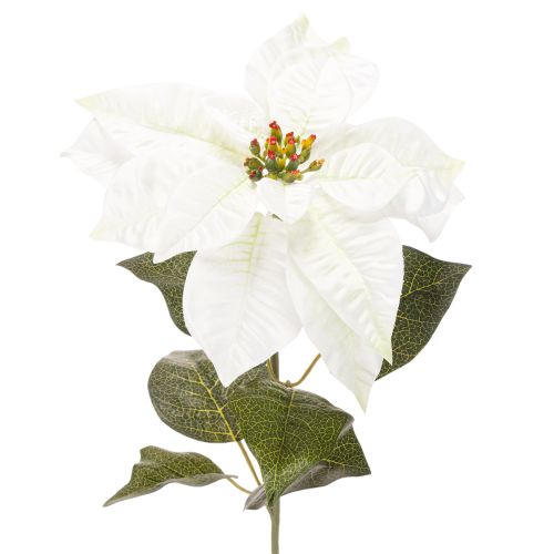 Weihnachtsstern künstlich Weiß Großer Blütenzweig Dekoration 65cm 2St kaufen | Floristik24.de