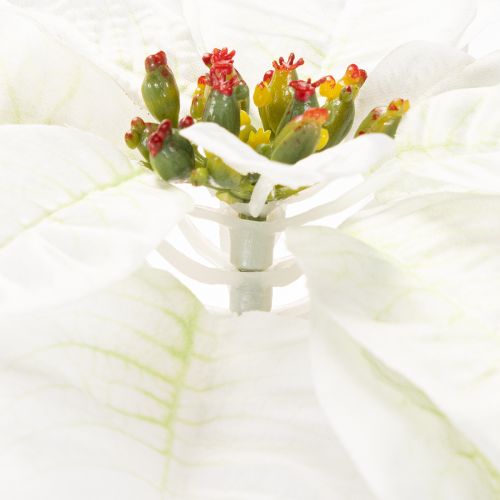 Weihnachtsstern künstlich Weiß Großer Blütenzweig Dekoration 65cm 2St | Floristik24.de