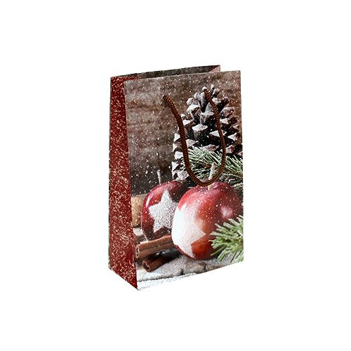 Floristik24 Weihnachtstüte mit Apfel, Zapfen Motiv 12x19cm 1St