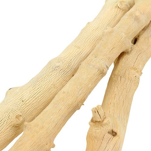 Weinrebe Gebleicht 100cm 3st Preiswert Online Kaufen