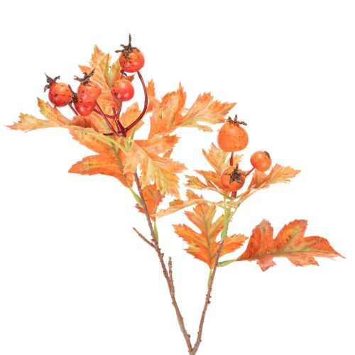 Künstlicher Zweig Weißdorn mit Blättern und Beeren 62cm kaufen | Floristik24.de