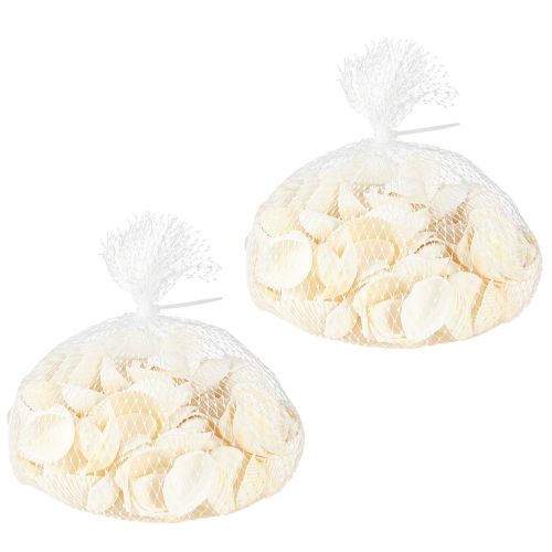 Floristik24 Weiße Muscheln Deko Herzmuscheln 2-3,5cm 300g × 2St