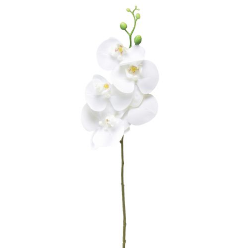 Artikel Weiße Orchidee Künstlich Phalaenopsis Real Touch 85cm
