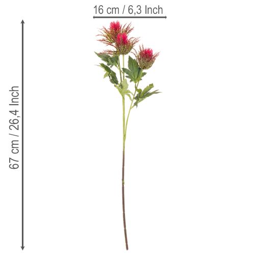 Künstlicher Distelzweig rot für Dekoration 67cm 3St | Floristik24.de