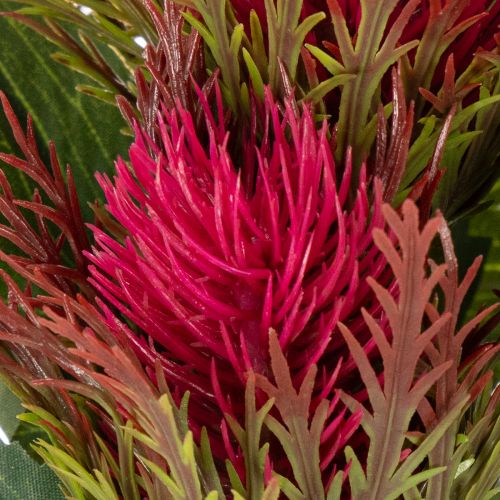 Künstlicher Distelzweig rot für Dekoration 67cm 3St | Floristik24.de
