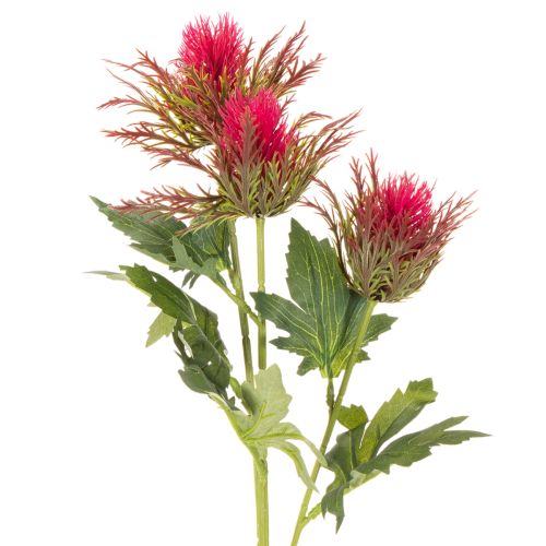 Künstlicher Distelzweig rot für Dekoration 67cm 3St | Floristik24.de
