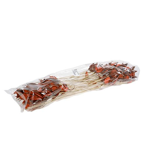 Floristik24 Wildlilie am Stiel Orange 45 St