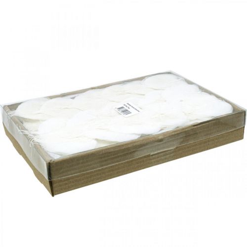 Floristik24 Skelettblätter gebleicht Willowblätter skelettiert 8-10cm 300 St