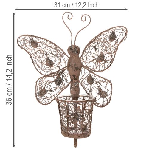 Windlicht Metall Wanddeko Schmetterling Rost Deko 36,5cm | Floristik24.de