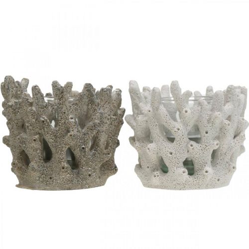 Floristik24 Windlicht mit Glas im Korallendesign maritime Deko Weiß künstlich Ø9,5cm 2St