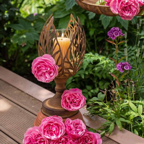 Floristik24 Windlicht Rost Optik, Teelichthalter Retro Ø13cm H30cm