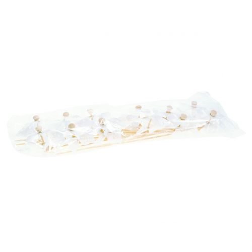 Floristik24 Windmühle Mini Weiß Ø9cm 12St