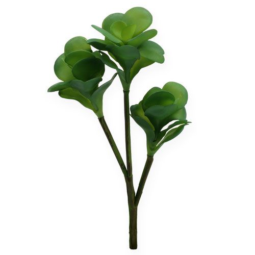 Floristik24 Kunstpflanzen Wüstenkohl Grün 25cm 3St