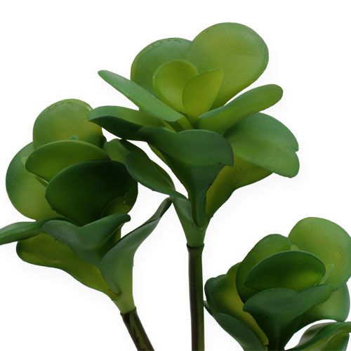 Artikel Kunstpflanzen Wüstenkohl Grün 25cm 3St
