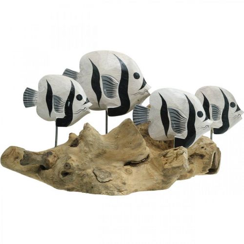 Floristik24 Deko Fische stehend Wurzelholz Aufsteller Maritime Deko 38cm