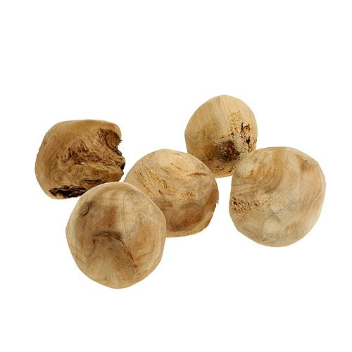 Floristik24 Wurzelball Tannenholz Ø7cm Natur 5 St
