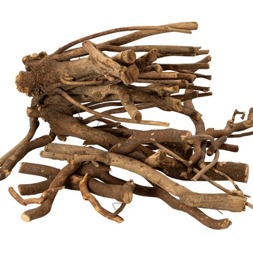Deko Holzäste Wurzelstöcke naturgetrocknet 18cm 500g kaufen | Floristik24.de