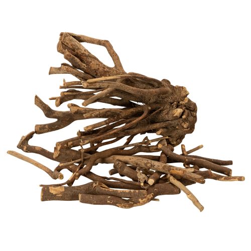 Deko Holzäste Wurzelstöcke naturgetrocknet 18cm 500g | Floristik24.de