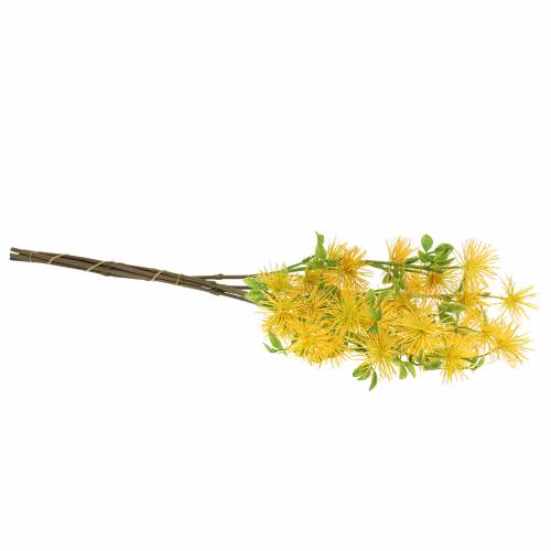 Floristik24 Xanthium Seidenblume Gelb 53cm 6St