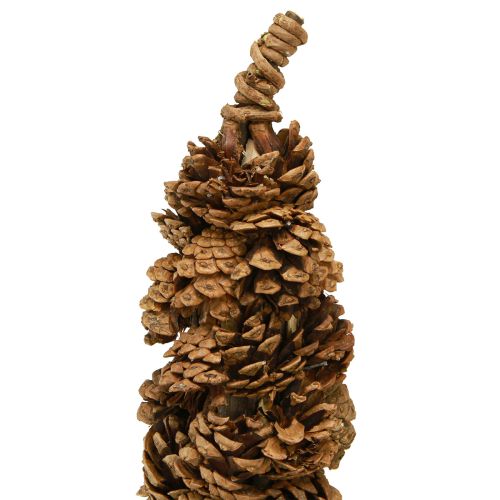 Floristik24 Zapfen Tischweihnachtsbaum Zapfenbaum Natur 16×60cm