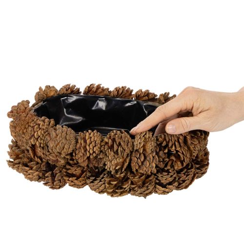 Pflanzschale aus Tannenzapfen Oval 30cm | Floristik24.de