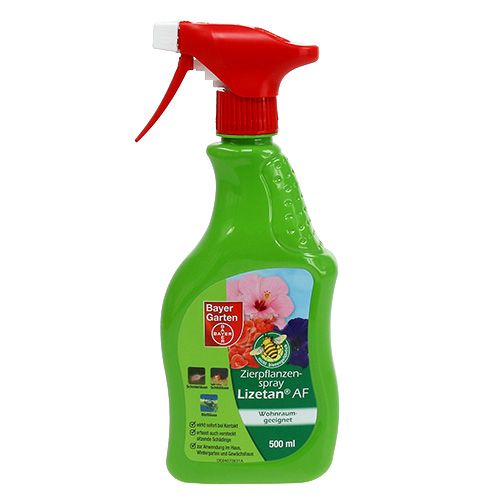 Floristik24 Zierpflanzenspray Lizetan AF 500ml