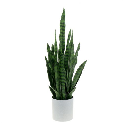 Floristik24 Sansevieria künstlich im Topf H62cm