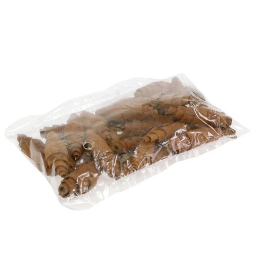 Floristik24 Zimt Croissant Deko 6,5cm - 7cm 30 St
