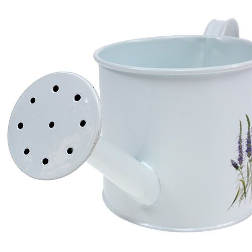 Floristik24 Zinkgießkanne Ø10,5cm H10cm mit Lavendel