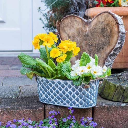 Floristik24 Zinkschale Raute mit Seilgriffen oval 32cm H15cm