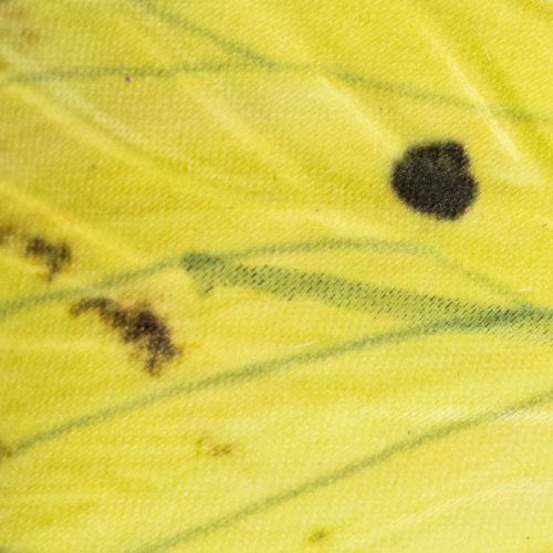 Artikel Schmetterlingszweig kunstvolle Frühlingsdeko für Innenräume 75cm