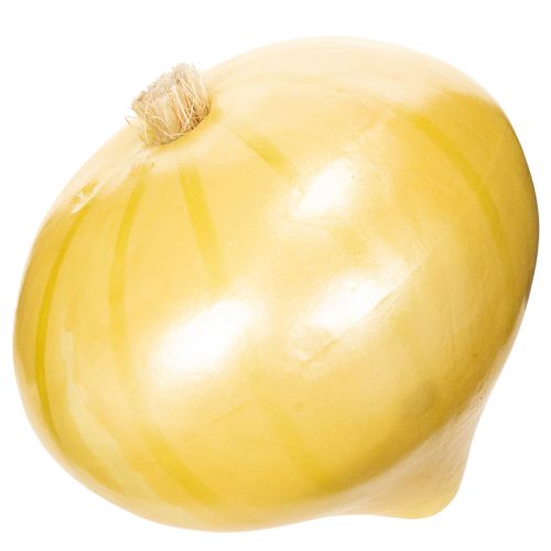 Deko Zwiebel Lebensmittelattrappe 8cm | Floristik24.de