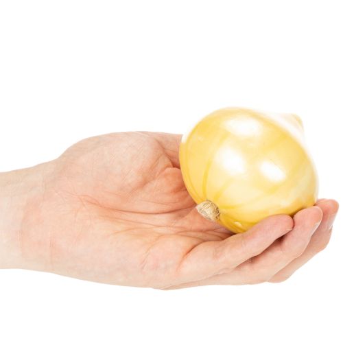 Deko Zwiebel Lebensmittelattrappe 8cm | Floristik24.de
