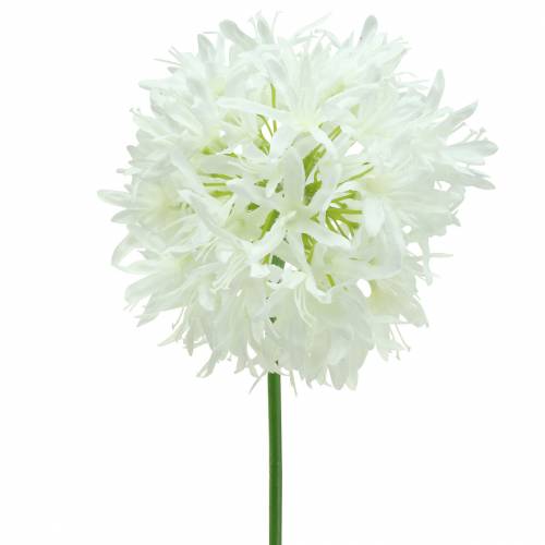 Zierlauch Allium künstlich Weiß Ø12cm H62cm