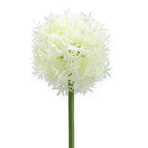 Set Pick Blüte Kunstblume 32 cm weiß 301122-40 F16 6 x Allium 6tlg 