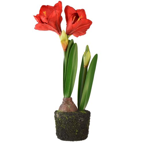 Artikel Amaryllis in Moosballen künstlich – Leuchtend rote Blüten, 49 cm – Elegante und natürliche Raumdekoration