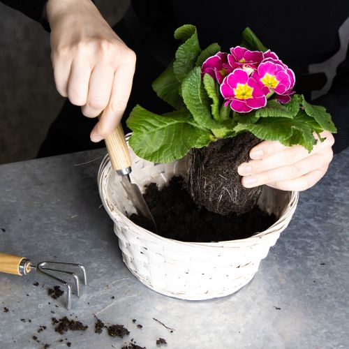 Artikel Bastkorb Deko für vielseitige Wohnraumgestaltung 20cm 8St