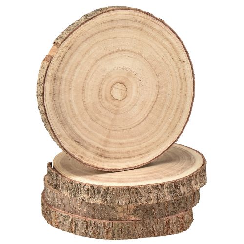 Floristik24 Baumscheibe Paulownia Holz Deko Natur Ø17-21cm 4 St
