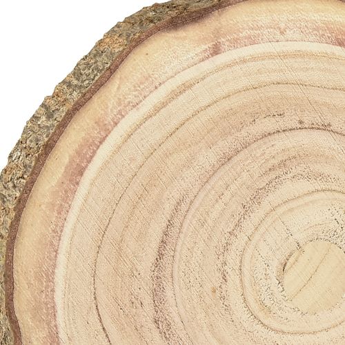 Floristik24 Baumscheibe Paulownia Holz Deko Natur Ø17-21cm 4 St