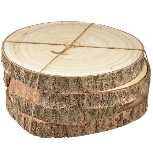 Floristik24 Baumscheibe Paulownia Holz Deko Natur Ø17-21cm 4 St