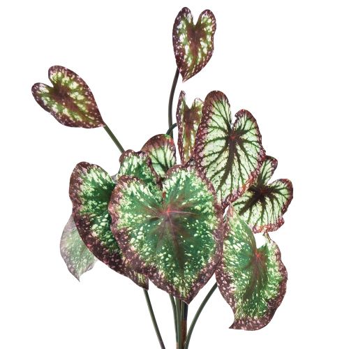 Artikel Begonie Künstliche Pflanzen Blattbegonien Grün Lila 62cm
