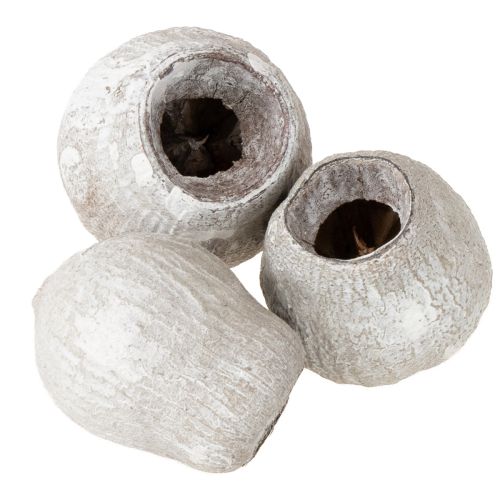 Artikel Bellgums weißgewaschen 2cm - 5cm 500g