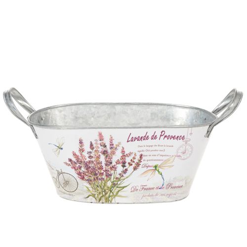 Blumenschale mit Griffen oval