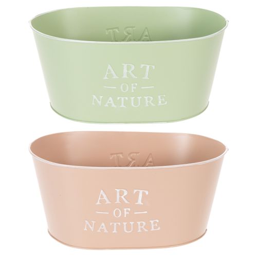 Blumenschale oval Zink 27×18cm H12,5cm Verschiedene Farben kaufen | Floristik24.de
