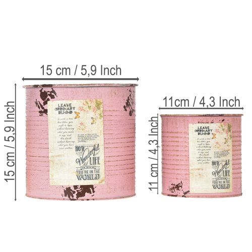 Artikel Blumentopf Set für Balkon und Garten Pflanzdose Dekoration Vintage Stil 15cm 3St