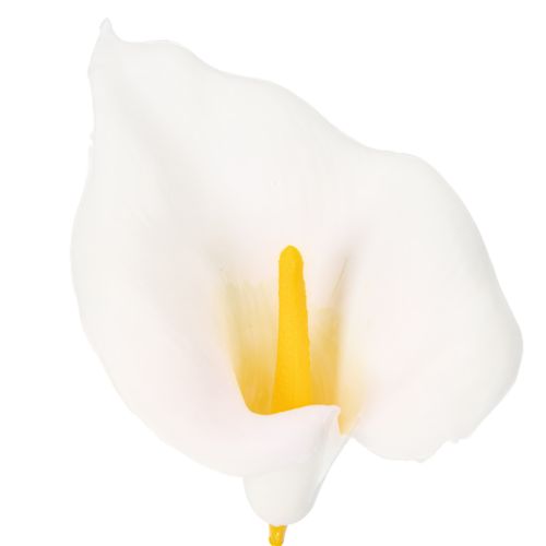 Artikel Calla am Draht klein Weiß 50 St