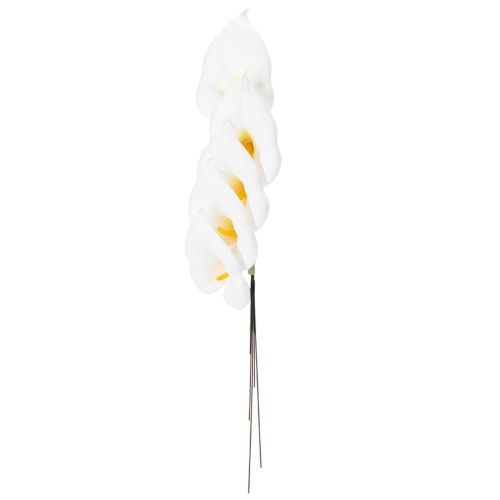 Artikel Calla mittel am Draht 50 St